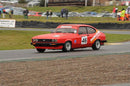 ポリカーボネート ウインドウキット｜Ford Capri MK3（1978〜1986年） 4