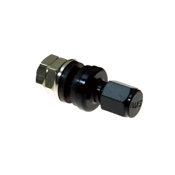RAYS No.53 INSIDE AIR VALVE RAYS BK