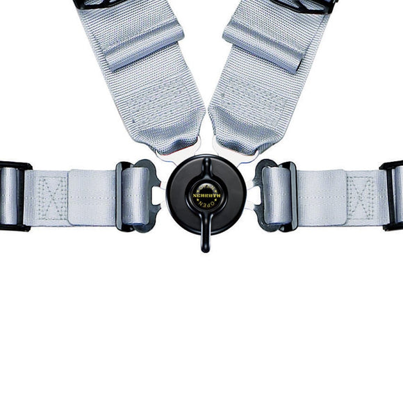 Schroth PROFI II ASM 4点式レーシングハーネス