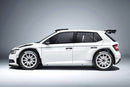 ポリカーボネート ウインドウキット｜Skoda Fabia MK3 R5
